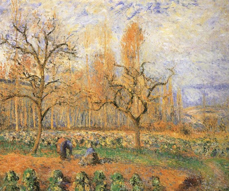 Farmland landscape, Camille Pissarro